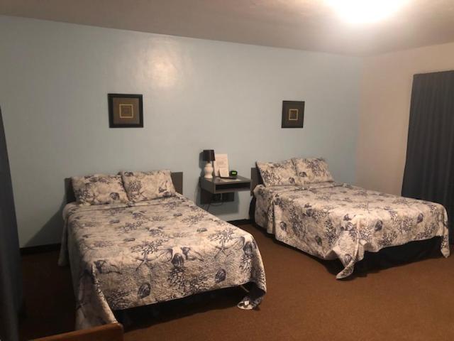 Cindy'S Motel & Rv Park Mayo Bagian luar foto